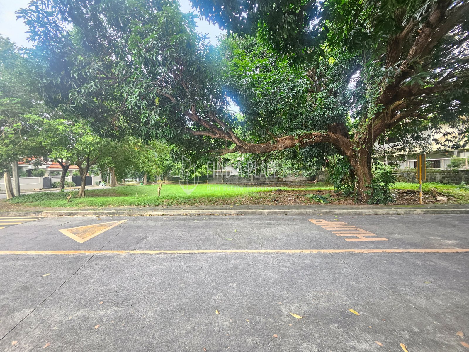 FOR SALE AYALA ALABANG DISTRICT 3 VACANT LOT